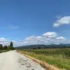annebeans - @annebeans - TikTok