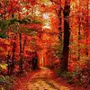 annebearden0 - @anneanne.bearden - TikTok