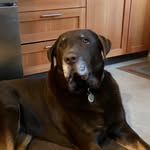 Anne - @annebeardsley1 - Instagram