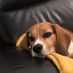 Anne Beaton - @anne.beaton.73 - Instagram
