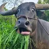 Anne Beatty - @anne.beatty3 - TikTok