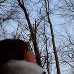 Anne-Marie Beaudry - @annemarie_beaudry - Instagram