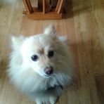 Anne Bechtel - Facebook