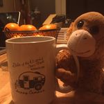 Anne Bechtel - @monkeyacct - Instagram