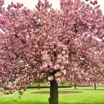 Naturfotografie 🌸☀️🍀 - @anne.becks - Instagram