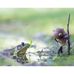 Anne Becker - Facebook