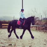 Anne Becker - @annea.becker - Instagram