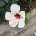 Anne Becker - Facebook