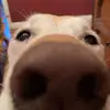 annebecker - @annebecker - TikTok