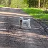 _annebeckmann - @_annebeckmann - TikTok