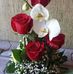 Anne Beckmann - Facebook