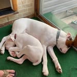 Anne Beckwith McCartney - @e4040h - Instagram