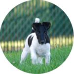 Anne Wainwright Beckwith - @annewainwrightbeckwith - Instagram