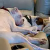 annebeckwithmccar - @annie.mac79 - TikTok