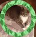 Marie Anne Becnel - Facebook