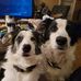 Annie Bedard - Facebook
