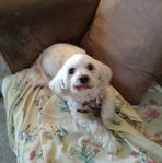 Anne Bednar - Facebook