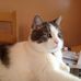 Anne Beebe - Facebook