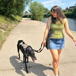 Anne-Laure Beecroft - @annelaurebee - Instagram