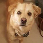 Ann Beeman - @maiziegracesmom - Instagram