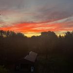 Anne Beers Miller - @beersmiller - Instagram