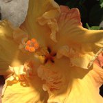Ann Beeson - @annbeeson - Instagram