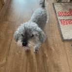 Anne Begg - Facebook