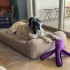 annettebehm - @annettebehm - TikTok