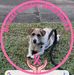 Ann Behne - Facebook