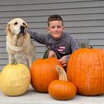 Ann Behnke - @ann_behnke - Instagram