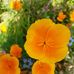 Anne Behr - Facebook