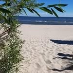 Anne Behrens - @annebehrens1983 - Instagram