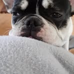 Änne Behrens - Facebook