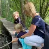 annebehrens781 - @annebehrens781 - TikTok