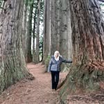 Anne Carlton Belcher - @annecarltonbelcher - Instagram