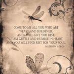 Ann Marie Zimmer Belden - @anniemay4950 - Instagram