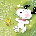 Anne Bellavance - Facebook
