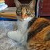 Ana Bemis - Facebook