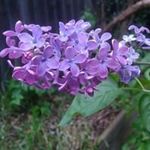 Anne Benefield - @benefieldanne - Instagram