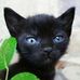 Anne Benefield - Facebook