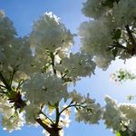 Annette Bengtson - @byall.cph - Instagram