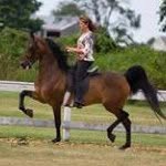 Anne Benson - @annebensostables - Instagram