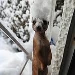 Anne Benson - @annefe2016 - Instagram