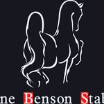 Anne Benson Stables - @annebensonstablesri - Instagram