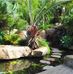Anne Bergen - Facebook