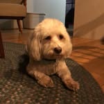 Ann Beringer - @alouber3 - Instagram