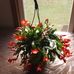 Anne Berkeley - Facebook