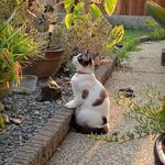 Anne Biggs - @anne.biggs.52035 - Instagram