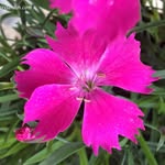 anne bland - @anne_bland58 - Instagram