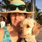Anne Bodnar - @anne.bodnar - Instagram